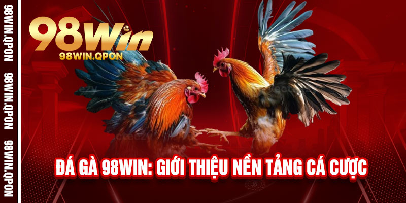 Đá Gà 98Win: Giới thiệu nền tảng cá cược
