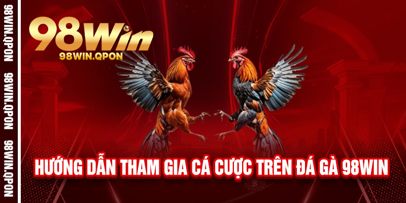 Hướng dẫn tham gia cá cược trên Đá Gà 98Win